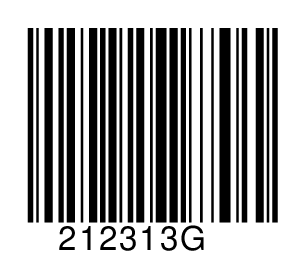 212313G