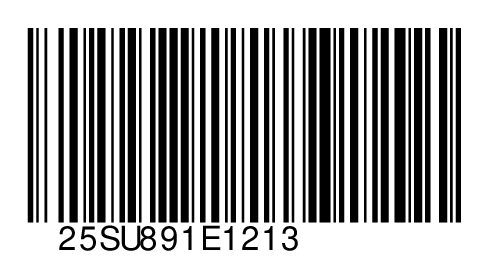 25SU891E1213