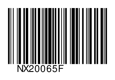 NX20065F