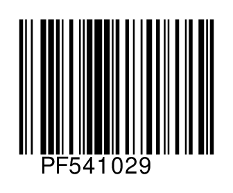 PF541029