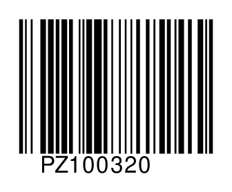 PZ100320