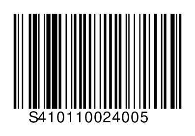 S410110024005