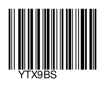 YTX9BS