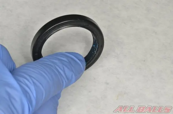 Описание: http://allballsracing.ru/files/upload/states/countershaft_bushing_and_seal_moto/Countershaft_Bushing_and_Seal_11.webp