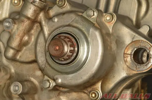 Описание: http://allballsracing.ru/files/upload/states/countershaft_bushing_and_seal_moto/Countershaft_Bushing_and_Seal_4.webp