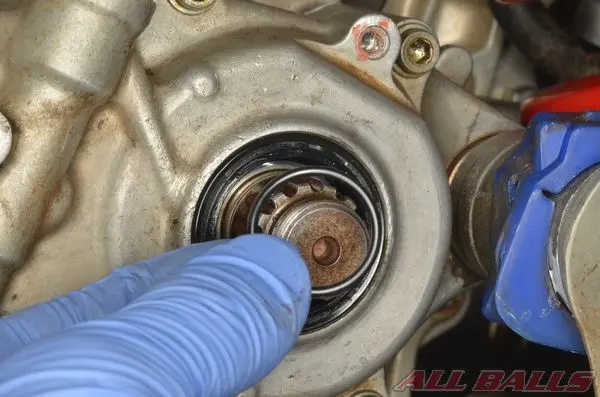 Описание: http://allballsracing.ru/files/upload/states/countershaft_bushing_and_seal_moto/Countershaft_Bushing_and_Seal_8.webp
