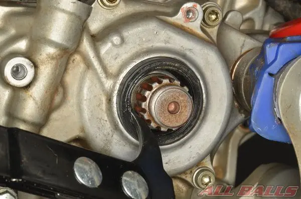 Описание: http://allballsracing.ru/files/upload/states/countershaft_bushing_and_seal_moto/Countershaft_Bushing_and_Seal_9.webp