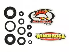 Набір сальників двигуна WINDEROSA W822288