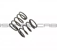 Пружини клапанів 168F, 170F (6.5/7Hp), к-кт (EVO)