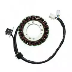 Статор генератора ELECTROSPORT ESG545