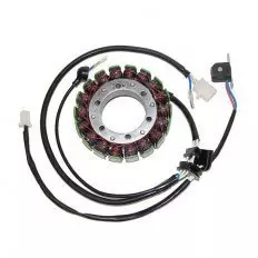 Статор генератора ELECTROSPORT ESG079