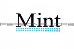 Наклейки набір MINT (13х5.5) (mod:1264)
