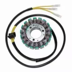 Статор генератора ELECTROSPORT ESG014