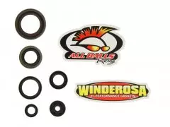 Набір сальників двигуна WINDEROSA W822348
