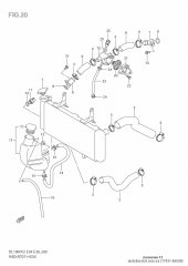 Cap, water tank dl10 (17931-06G00-000)