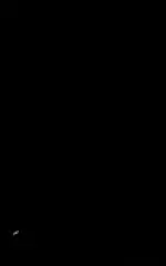 Guide, pad (59116-20E00-000)