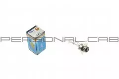 Лампа P15D-25-3 (3 уса) 12V 50/50W хамелеон райдужний (YWL)