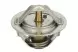 Термостат TOURMAX TMT-108