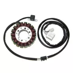 Статор генератора ELECTROSPORT ESG836