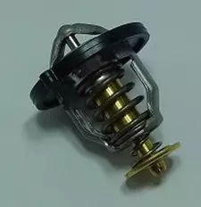 Термостат TOURMAX TMT-201