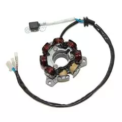 Статор генератора ELECTROSPORT ESG880