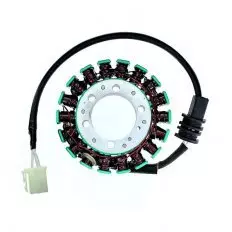 Статор генератора ELECTROSPORT ESG795
