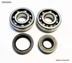 Комплект підшипників колінвала BEARING WORX CBK50003