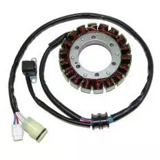 Статор генератора ELECTROSPORT ESG941
