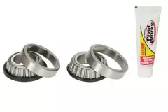 Комплект підшипників рульової колонки PIVOT WORKS PWSSK-K02-021