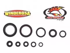 Набір сальників двигуна WINDEROSA W822330