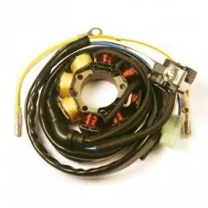 Статор генератора ELECTROSPORT ESL960