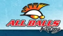Комплект підшипників заднього колеса ALL BALLS 25-1774