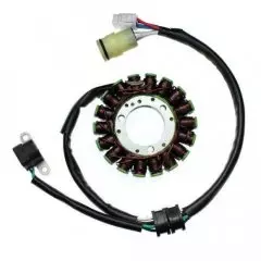 Статор генератора ELECTROSPORT ESG806