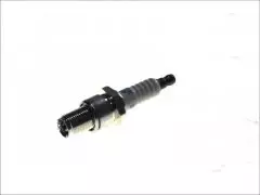Свічка запалювання NGK 4677 BR9ECS Standard Plug