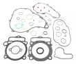 Набір прокладок двигуна WINDEROSA 808373