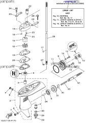 Пластина помпы охлаждения (6EG-G4323-00-00)