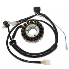 Статор генератора ELECTROSPORT ESG163