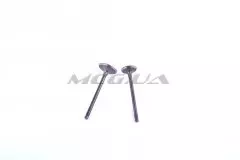 Клапана пара голі 4T GY6 150, (EVO)