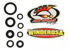 Набір сальників двигуна WINDEROSA W822175