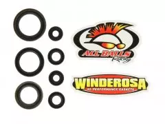 Набір сальників двигуна WINDEROSA W822186