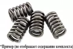Пружини зчеплення EBC CSK017 6 шт