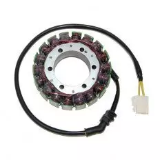 Статор генератора ELECTROSPORT ESG951
