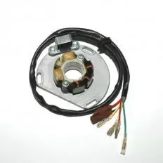 Статор генератора ELECTROSPORT ESL235