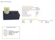 Модуль запалювання DZE ELEKTRYKA 1522-01