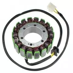 Статор генератора ELECTROSPORT ESG254