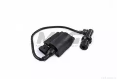 Котушка запалювання 4T Aprilia, Derbi, Gilera, Italjet з комутатором (CHENHAO)