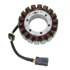 Статор генератора ELECTROSPORT ESG829