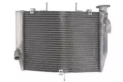 Радіатор 4 RIDE RAD-580