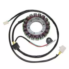 Статор генератора ELECTROSPORT ESG097