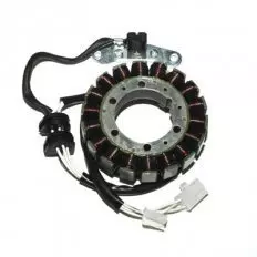 Статор генератора ELECTROSPORT ESG652